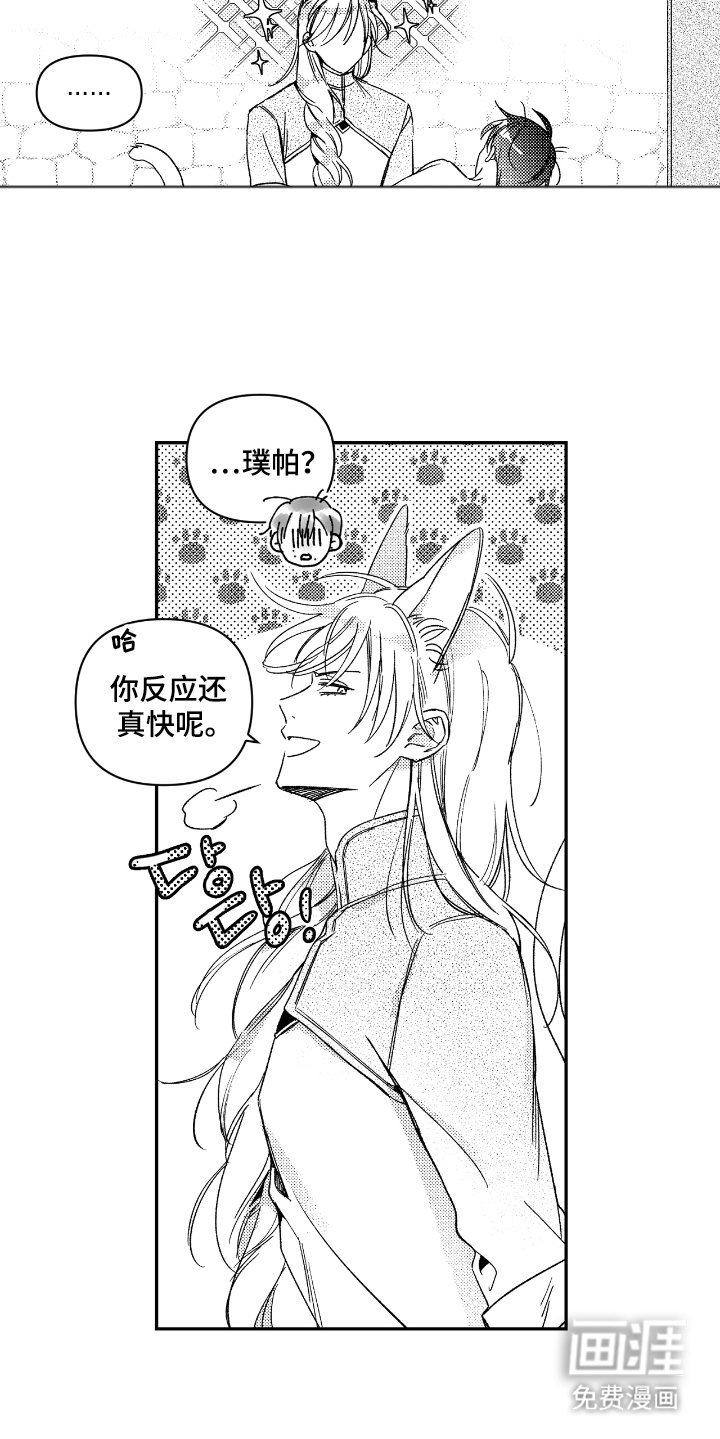 第15章：尾巴
