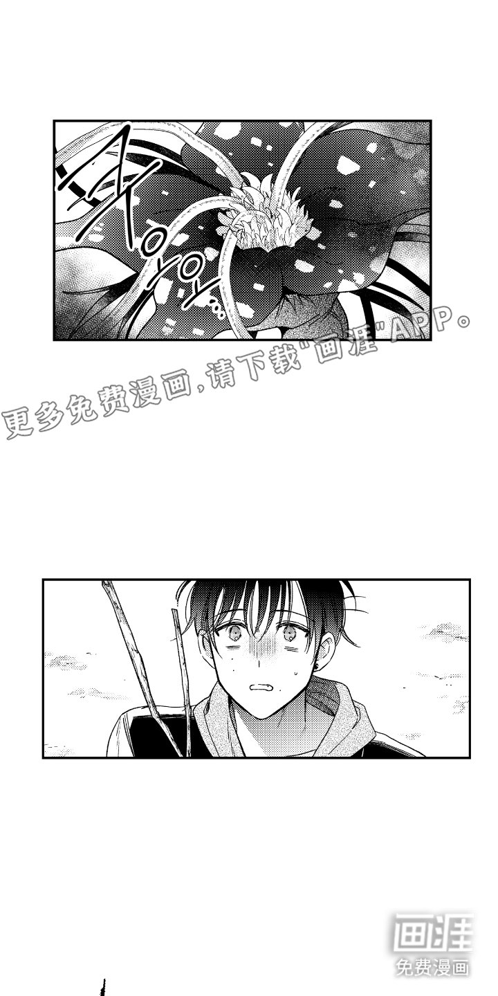 第7章：变奇怪