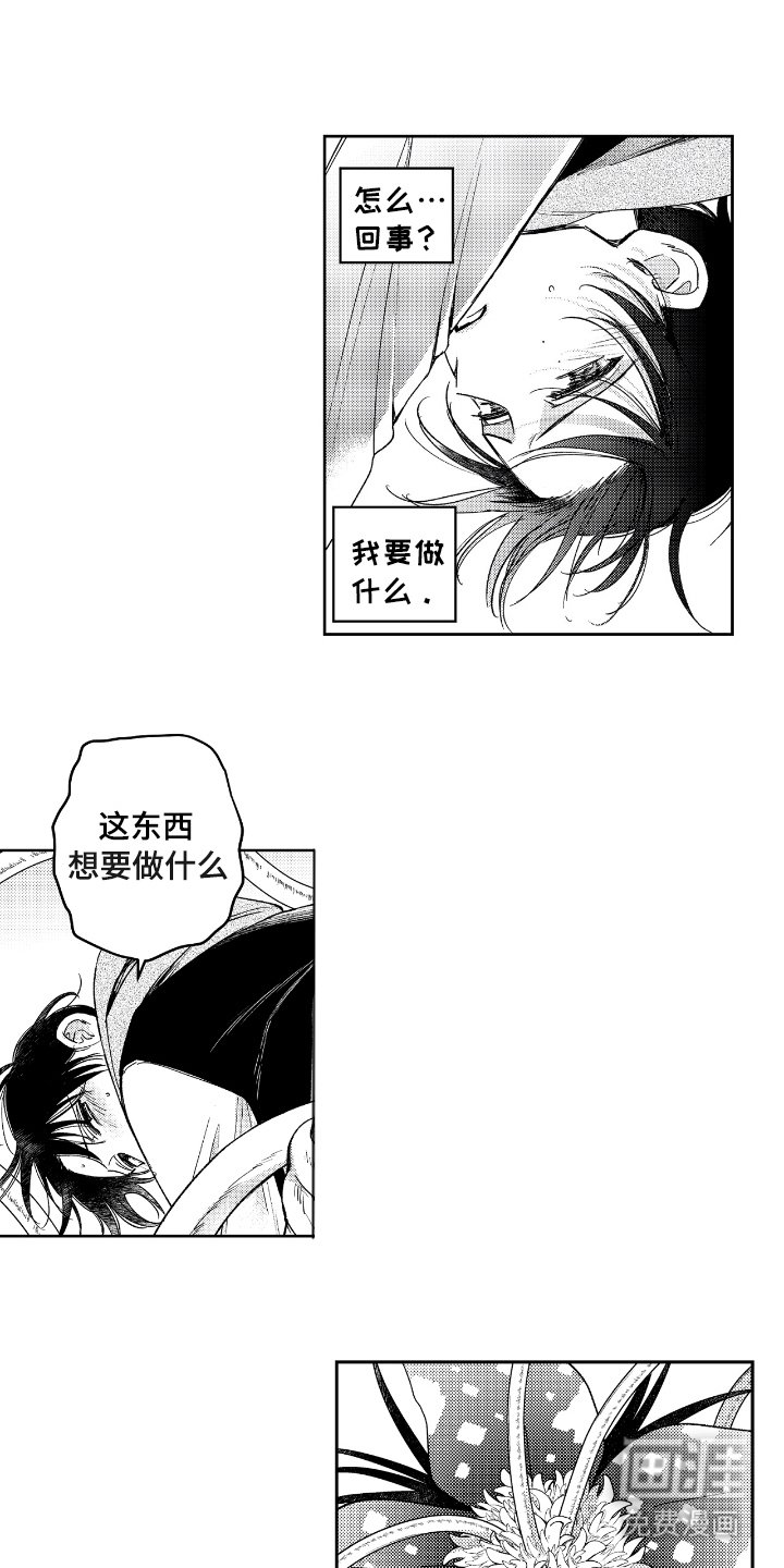 第7章：变奇怪
