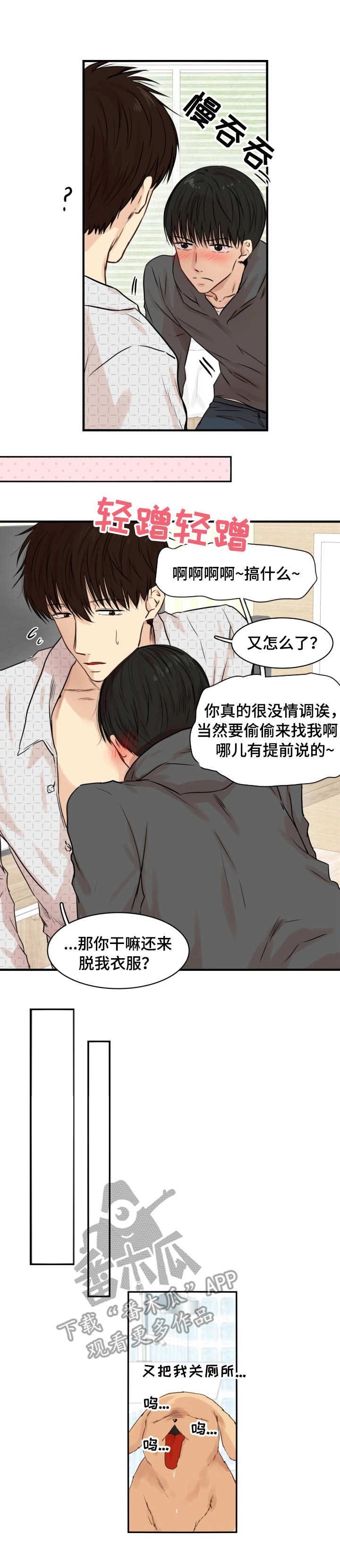 第19章：过于感性