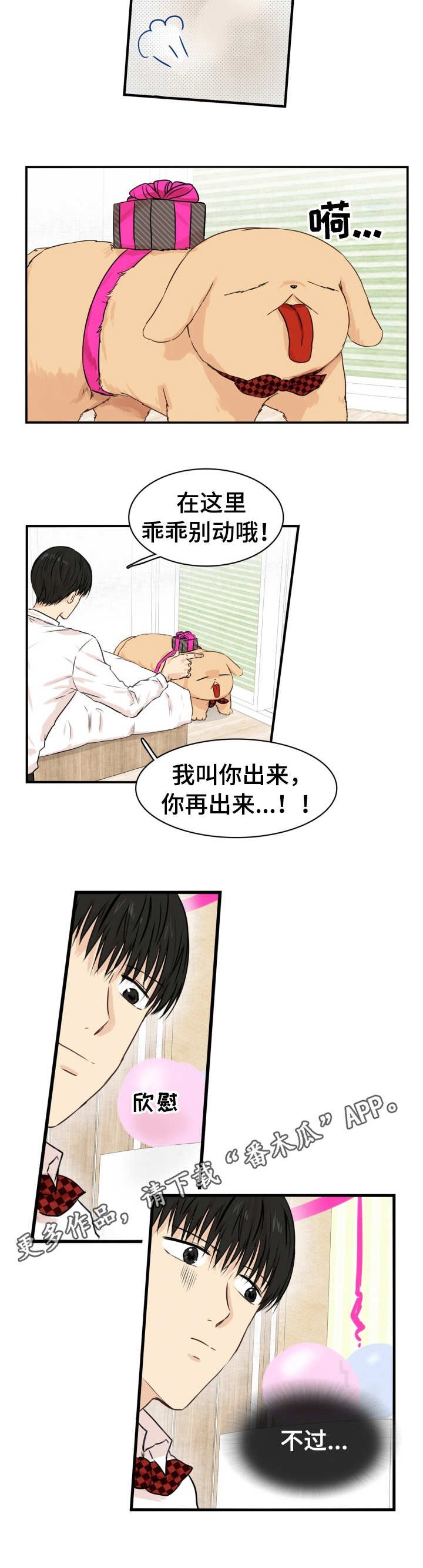 第23章：礼物