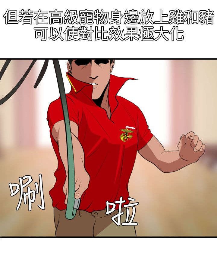 第36章：朋友