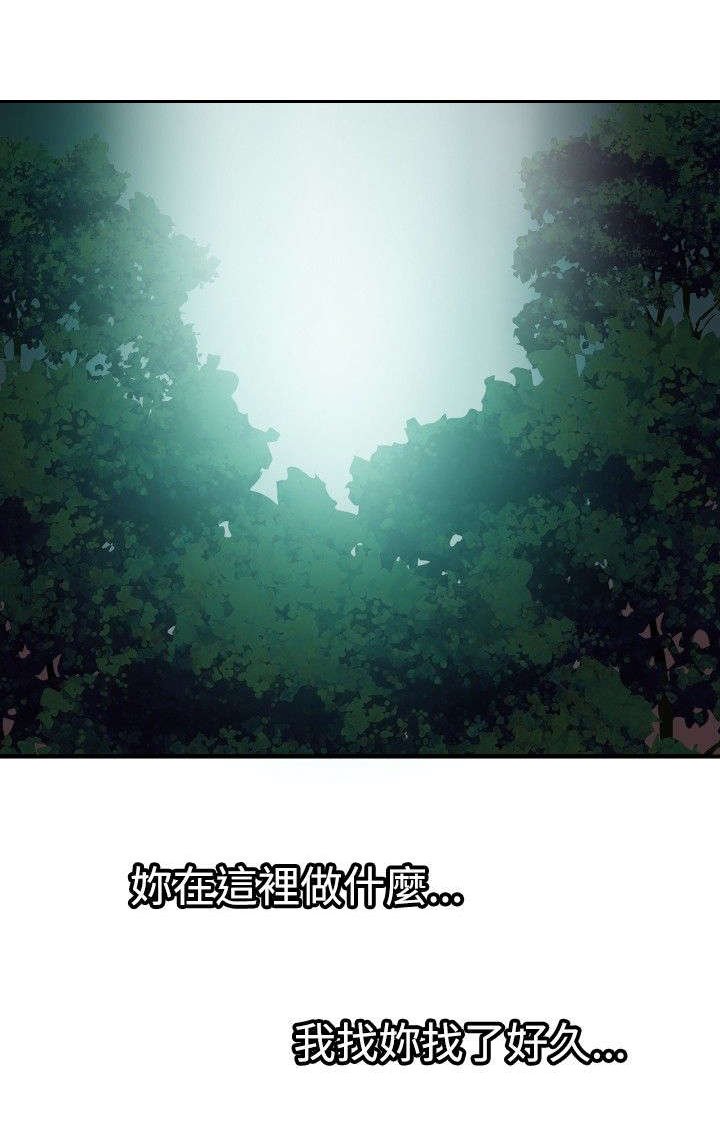 第52章：相遇