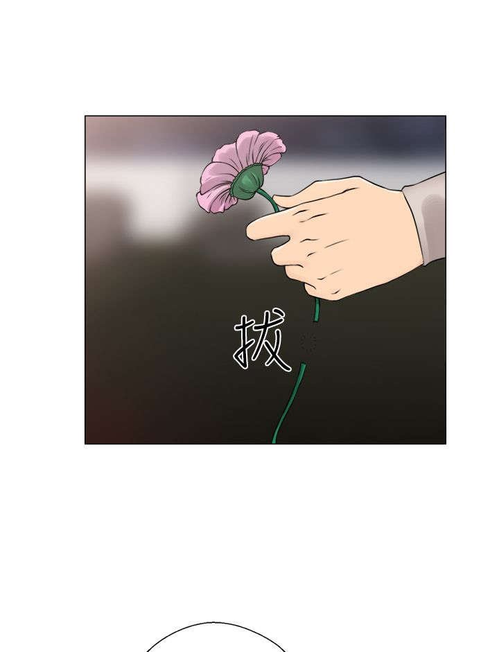 第29章：镇定