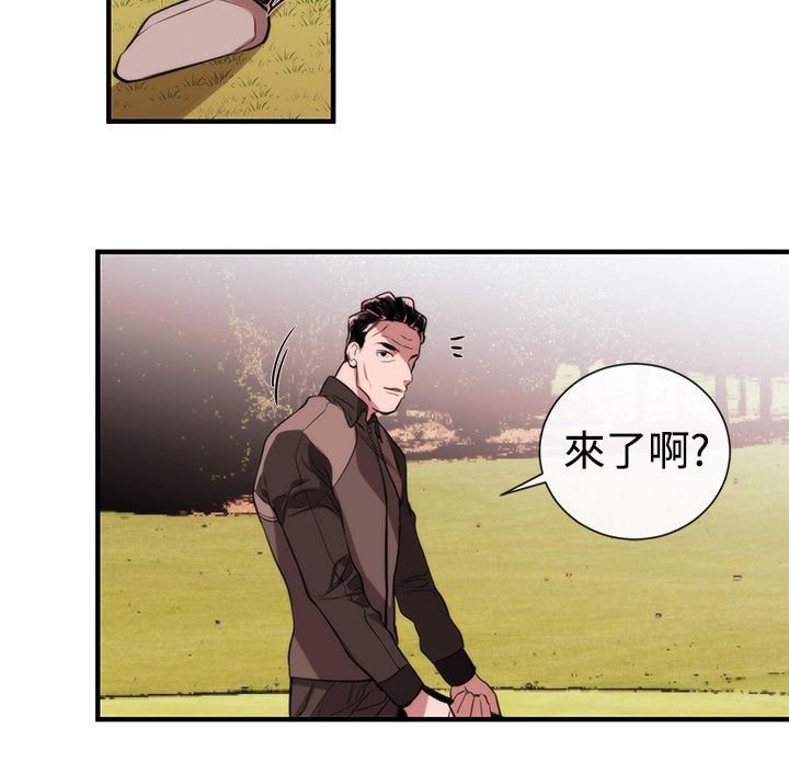 第28章：梦想中的女人