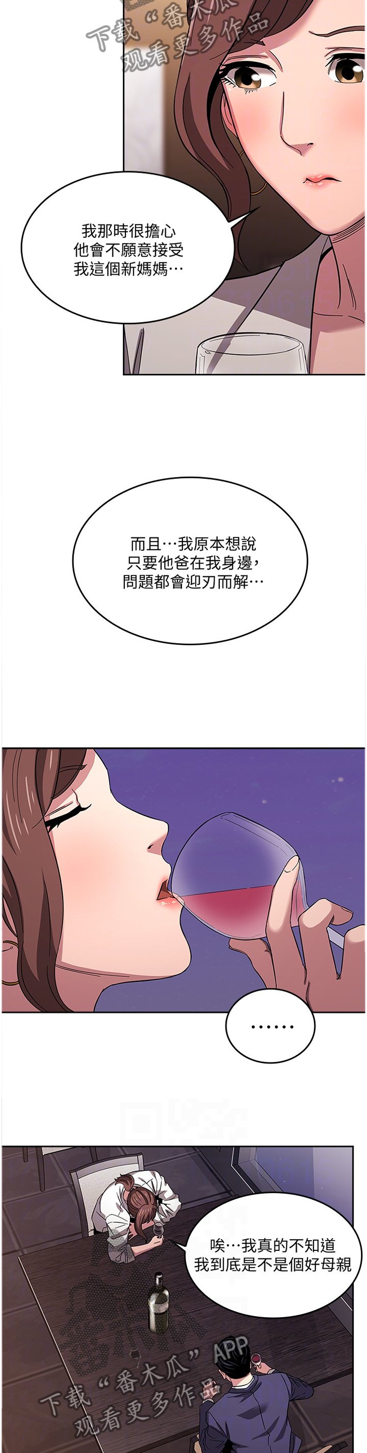 第17章：内在的理由