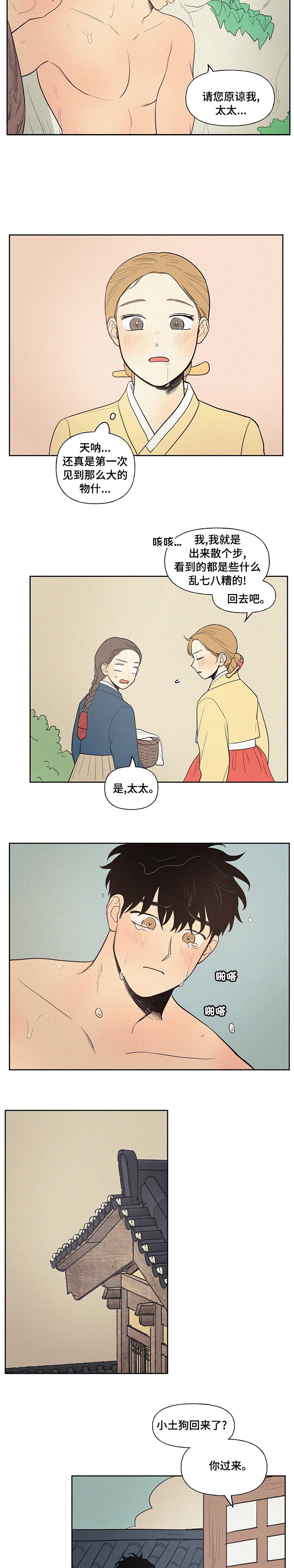第62章：【番外】人参鸡汤