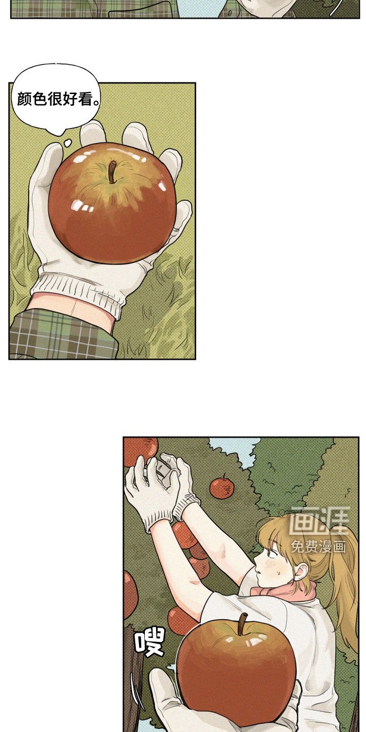 第88章：【番外】主动