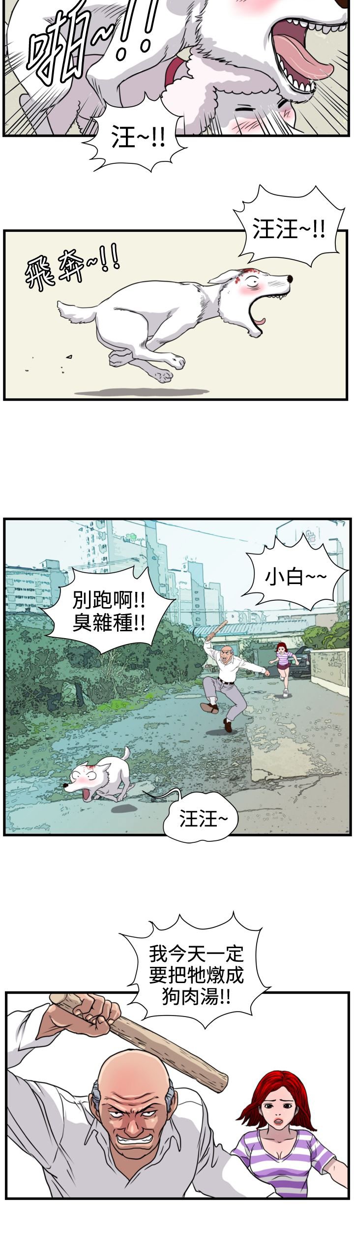 第15章：小白