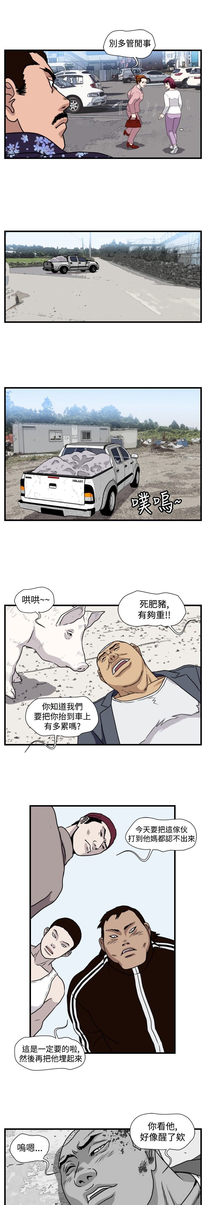 第16章：抓猪开始