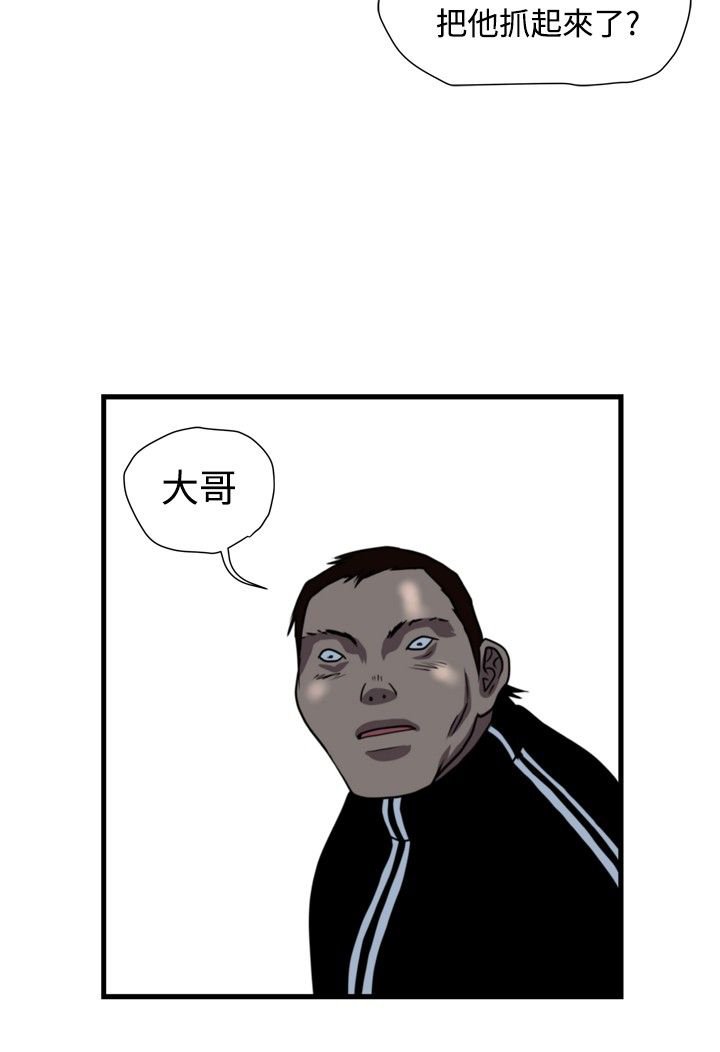 第17章：杀猪行动