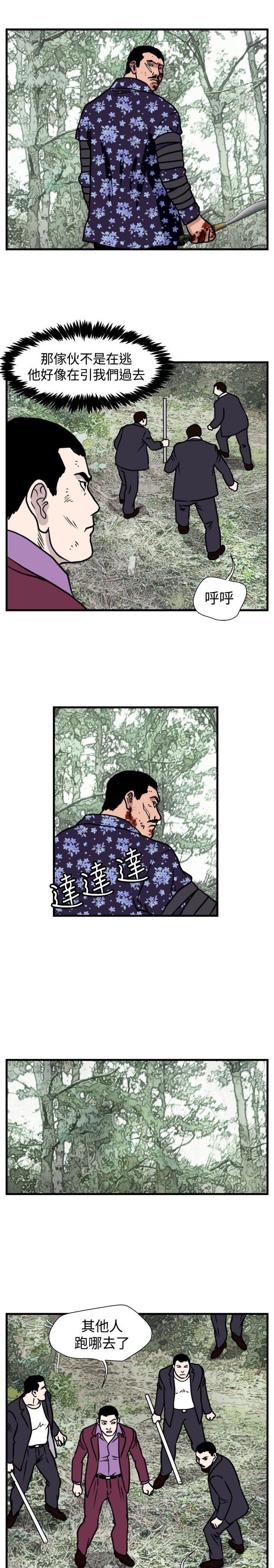第28章：诱敌