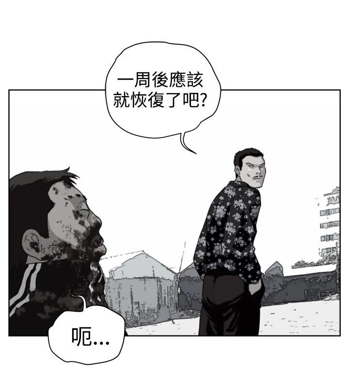 第8章：挑衅