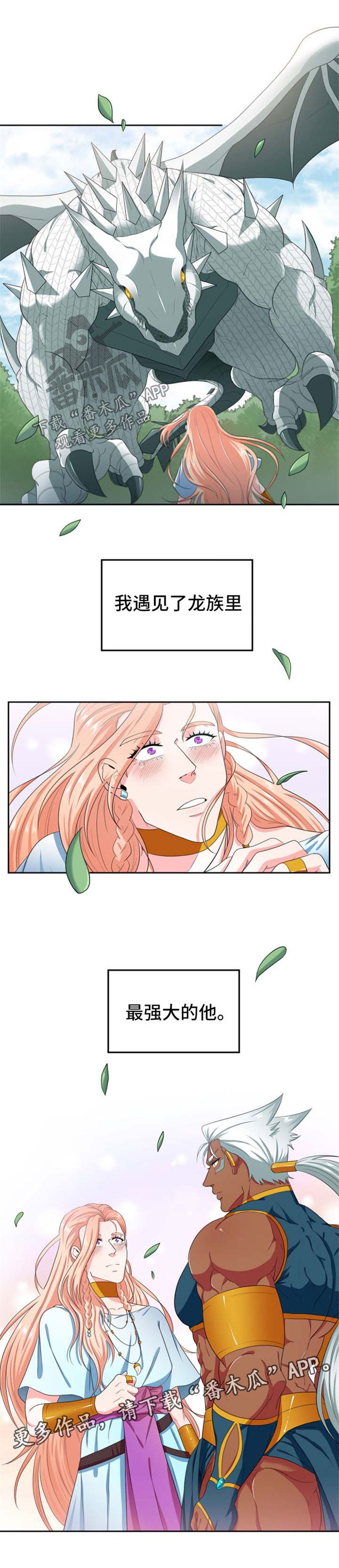 第23章：策划
