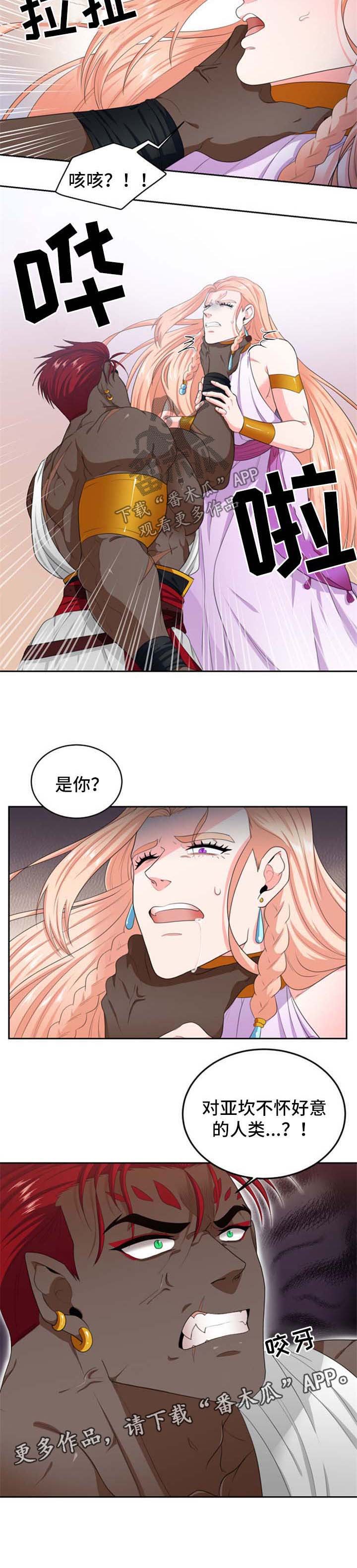 第29章：新的龙