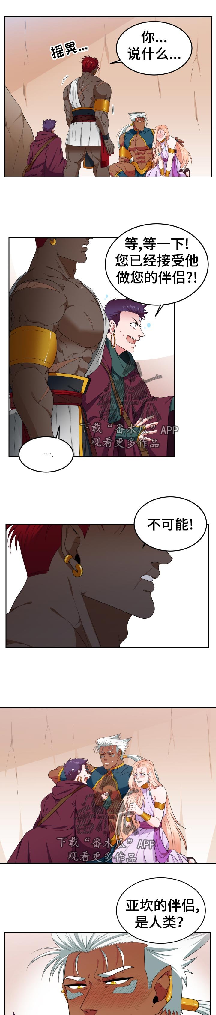第33章：包里的东西