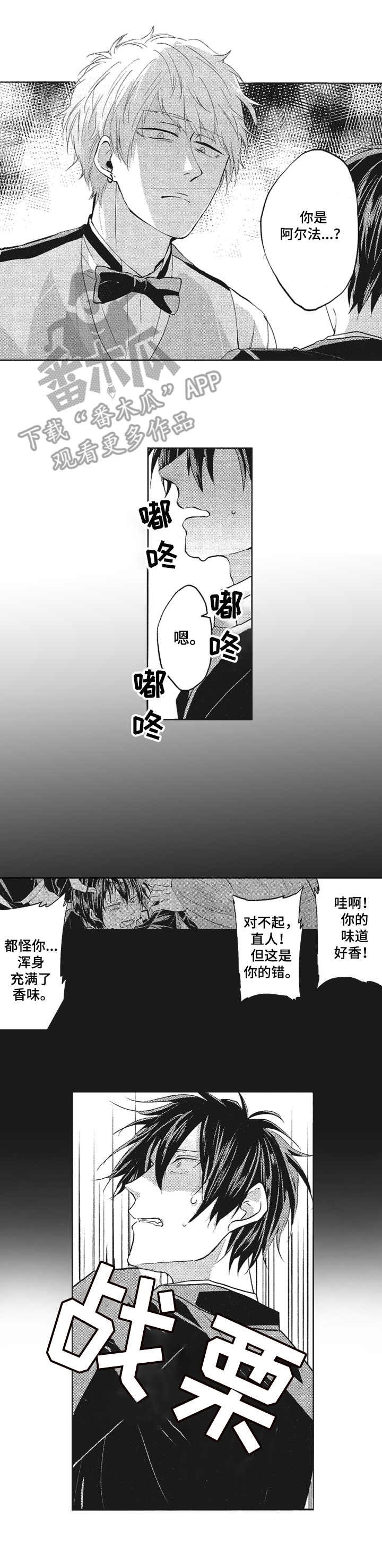 第2章：面试通过
