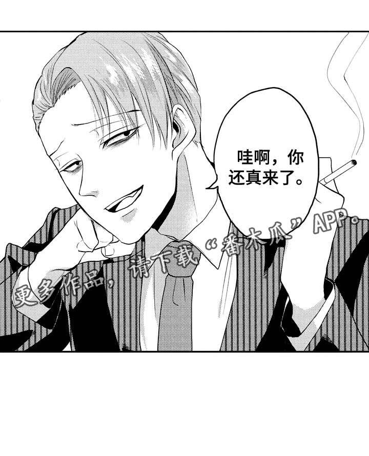 第29章：见个面