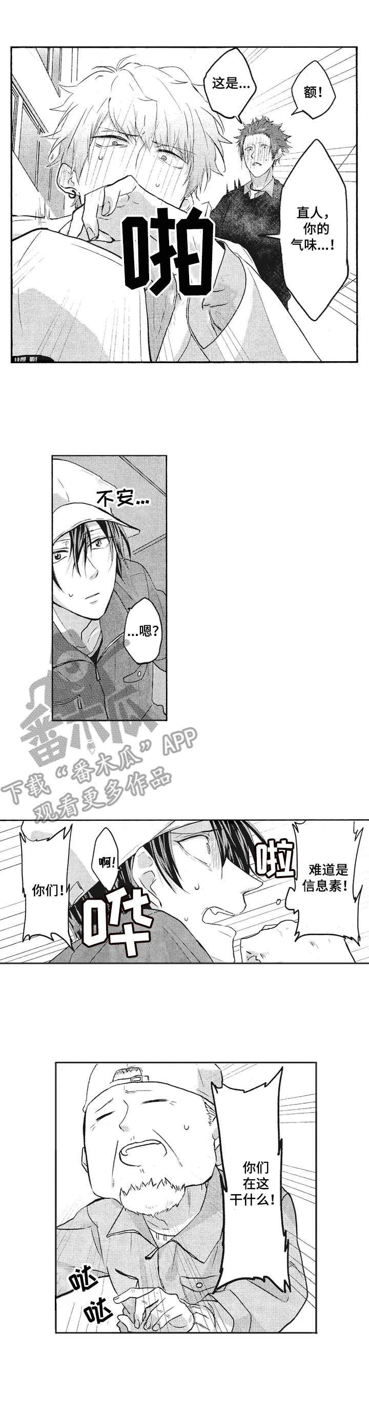 第3章：再次相见