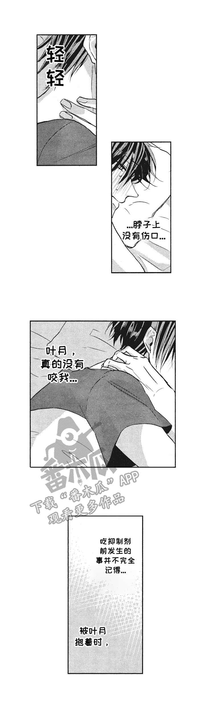 第8章：柔和的味道