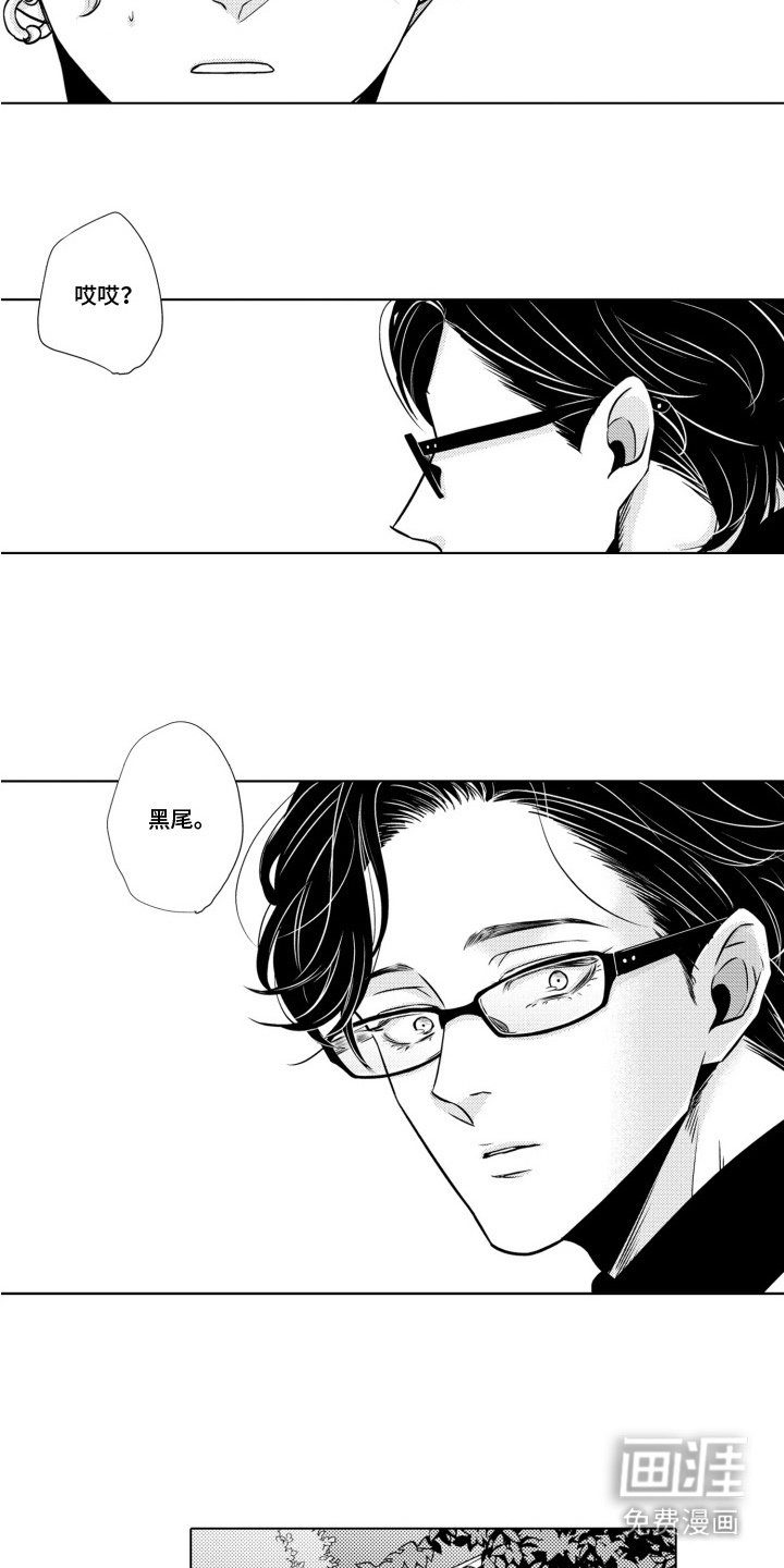 第18章：动物园