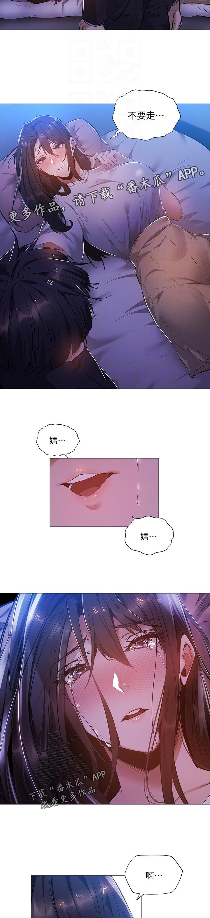 第40章：真不想