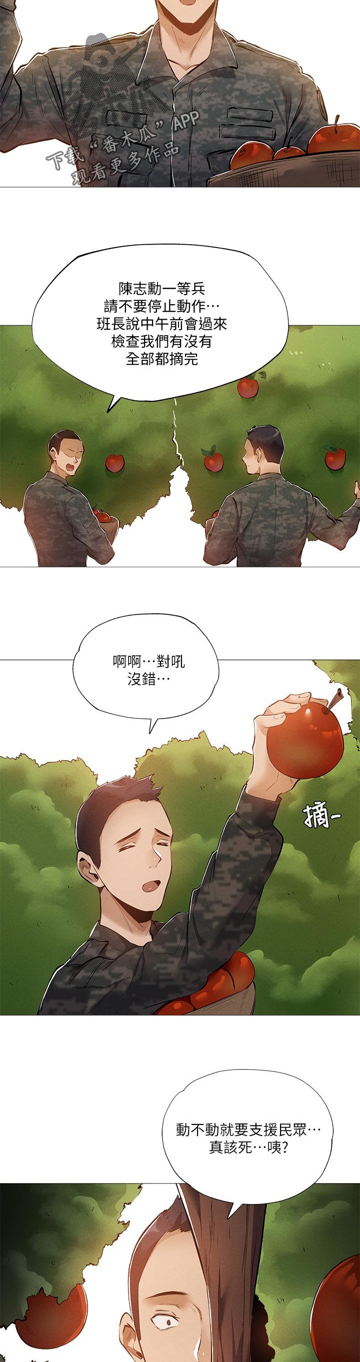 第50章：苹果