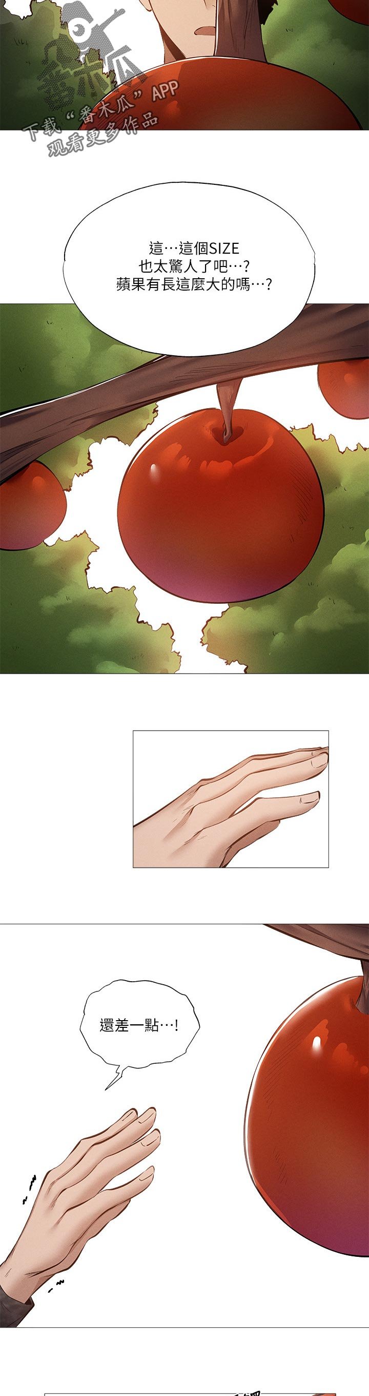 第50章：苹果