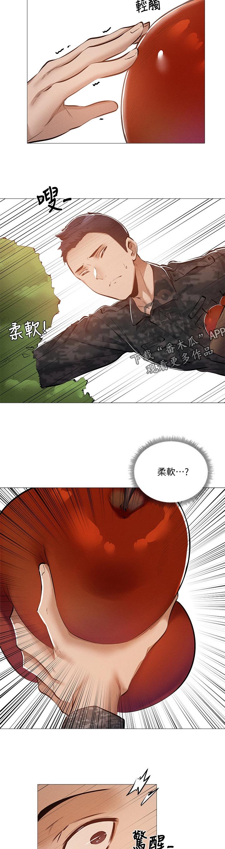 第50章：苹果
