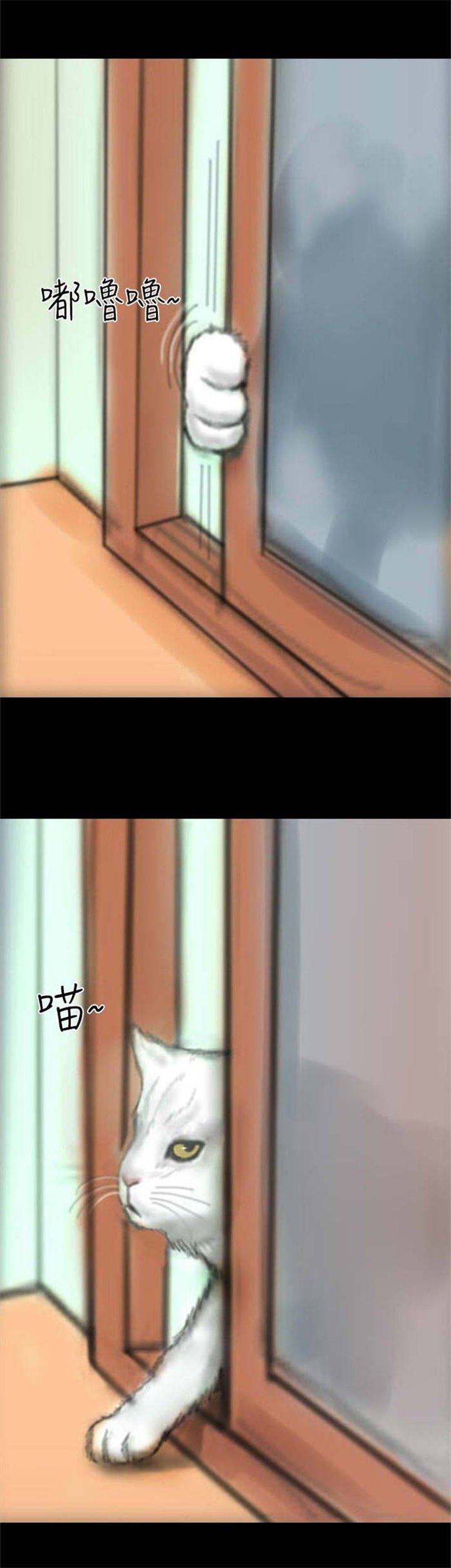 第14章：花牌