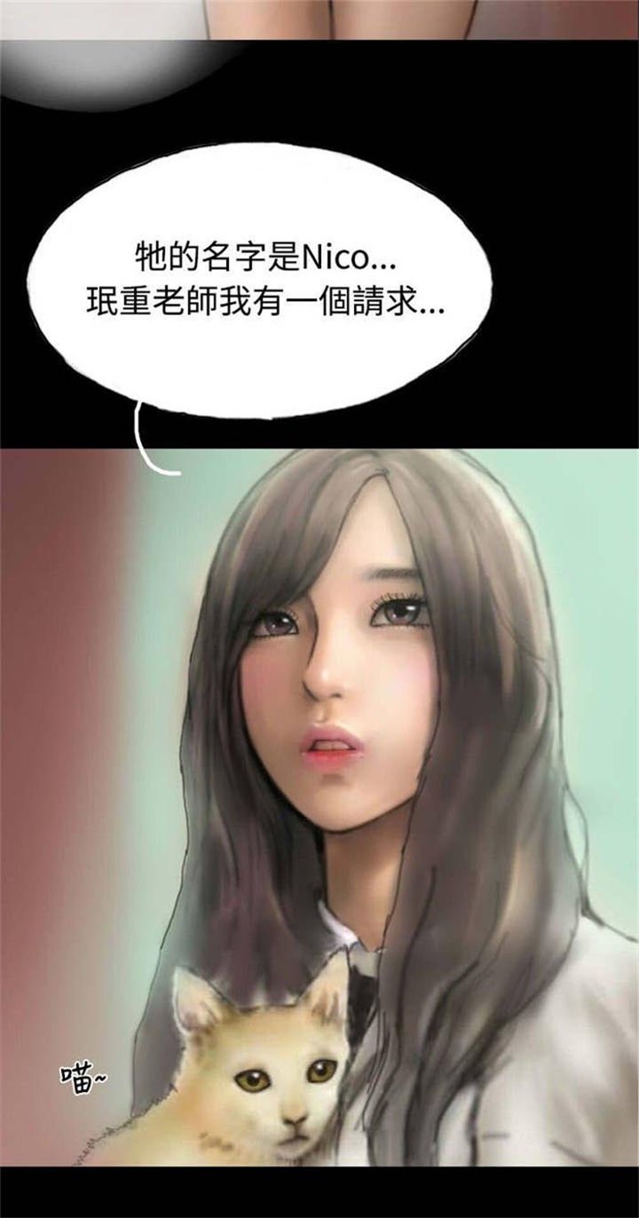 第5章：收养小猫