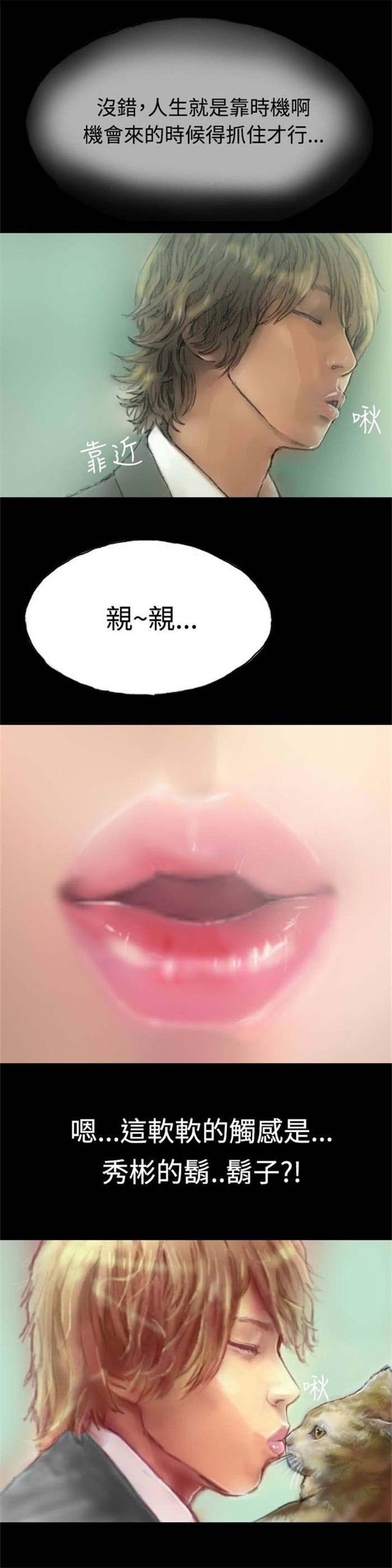 第5章：收养小猫