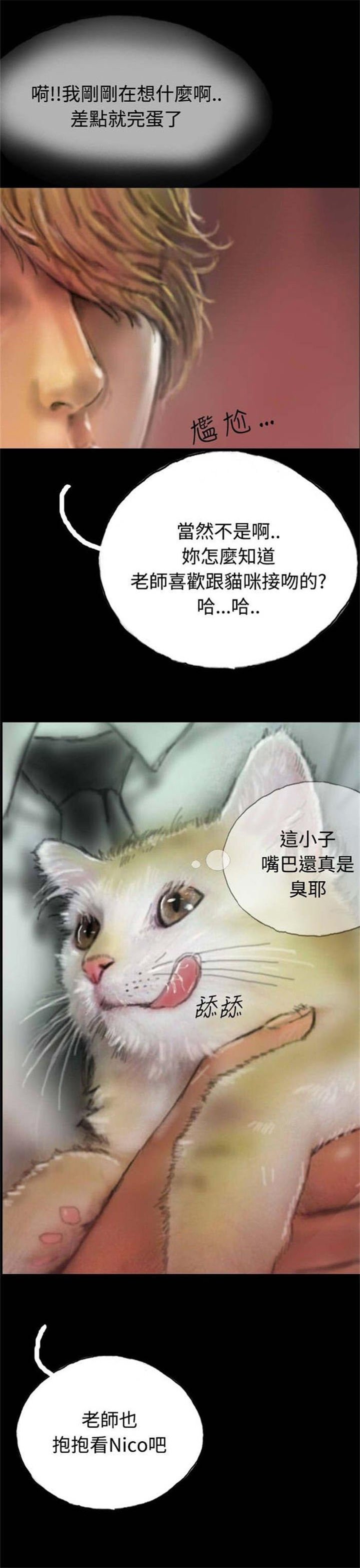 第5章：收养小猫