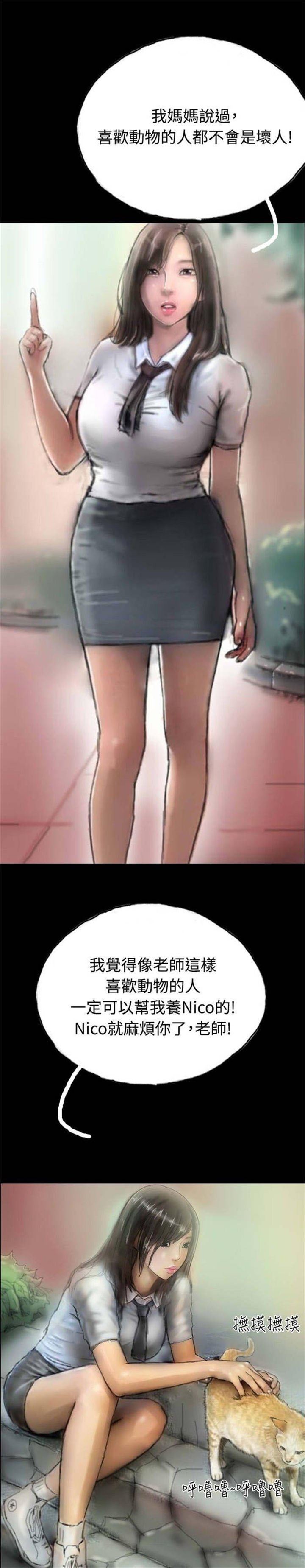 第5章：收养小猫