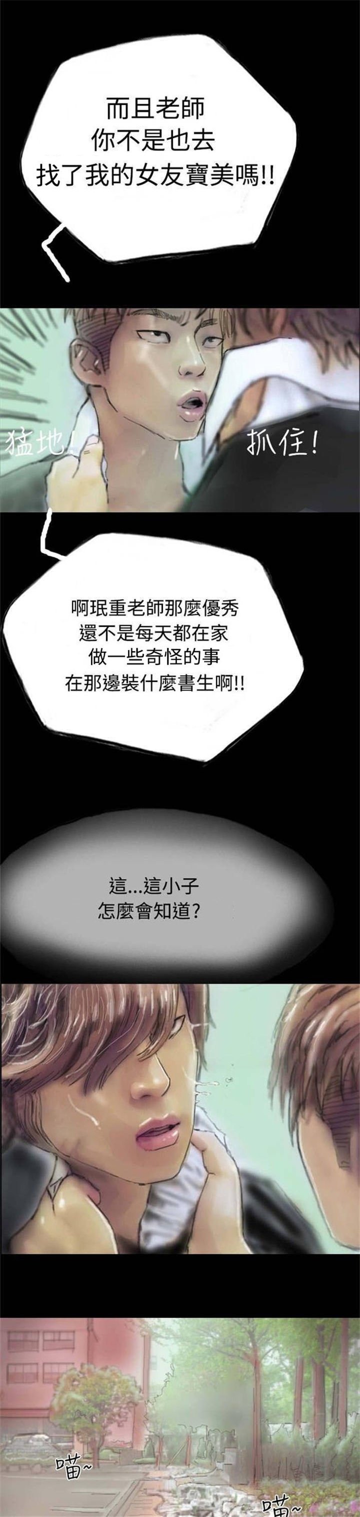 第5章：收养小猫