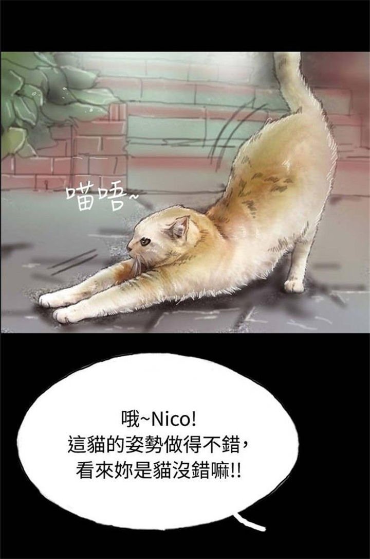 第5章：收养小猫