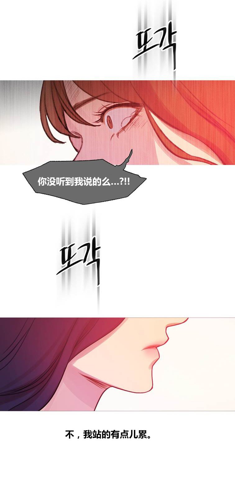 第44章：终章2