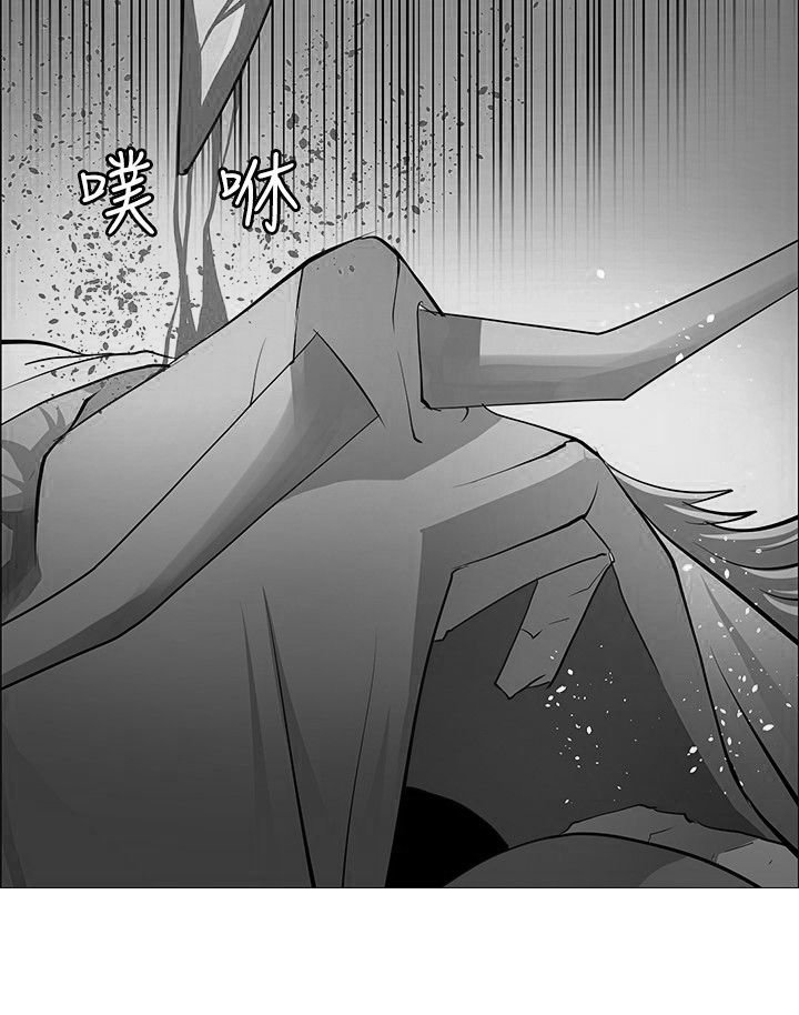 第41章：选择