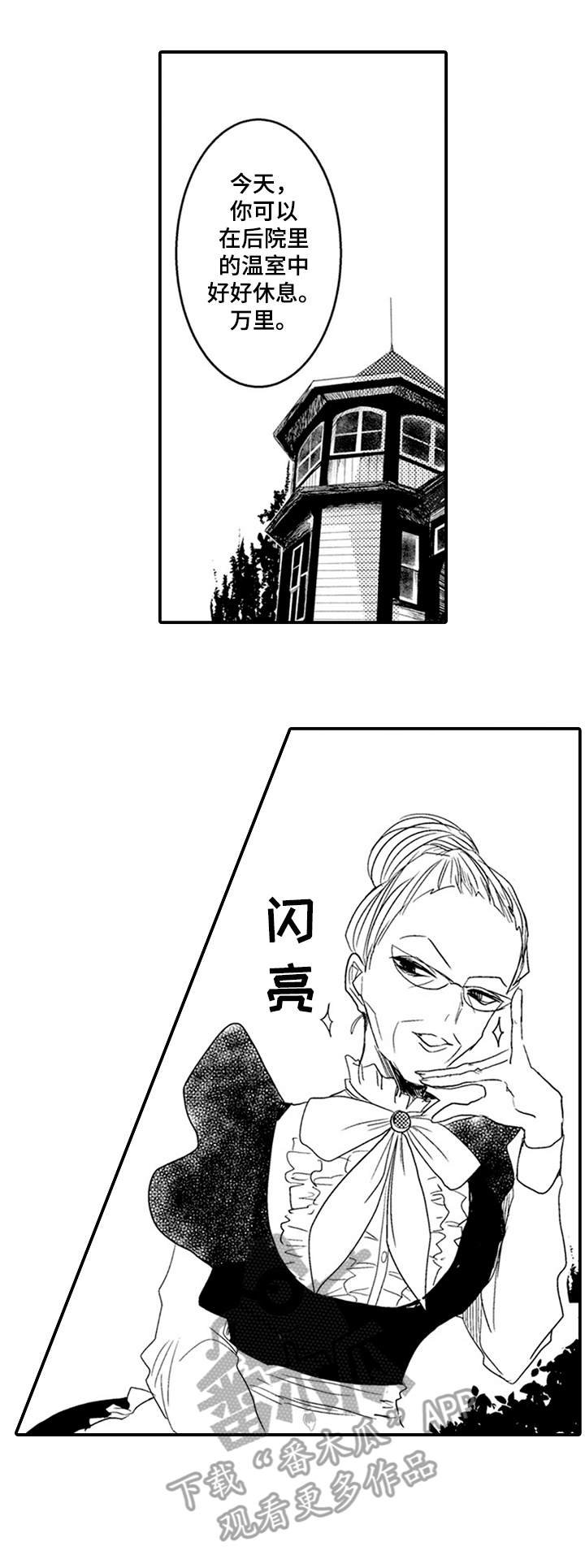 第11章：喜欢