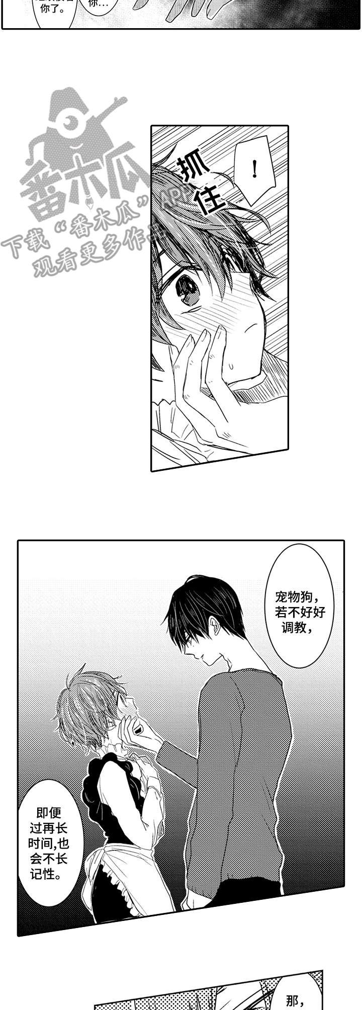 第3章：惩罚