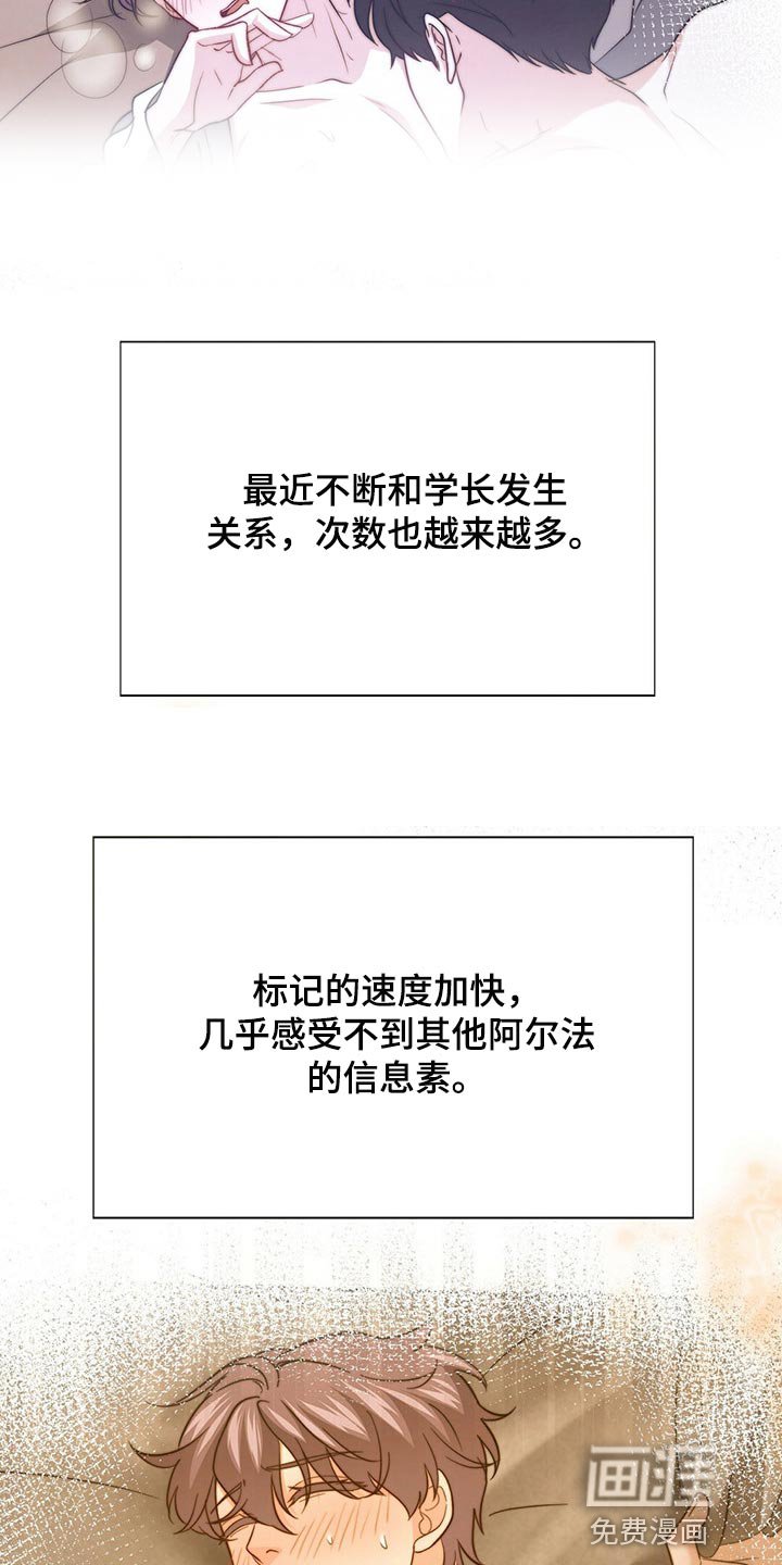 第109章：【第二季】命运的伴侣