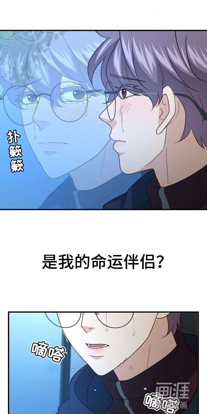 第109章：【第二季】命运的伴侣