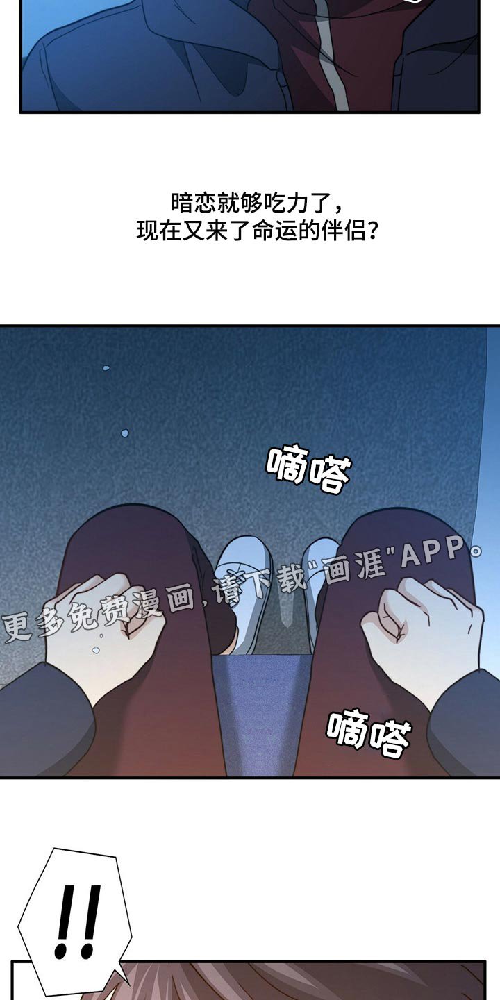 第109章：【第二季】命运的伴侣