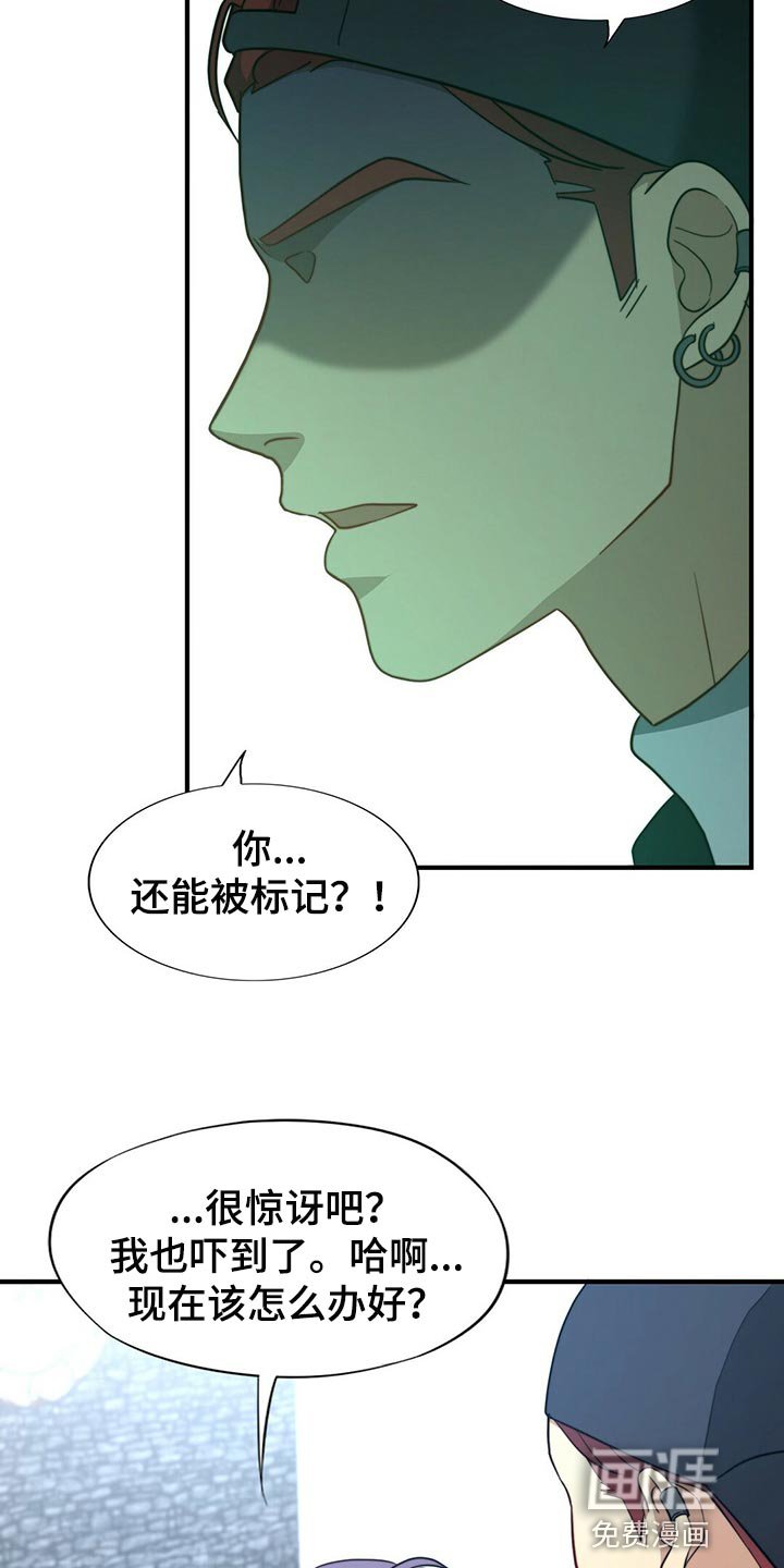 第111章：【第二季】半标记