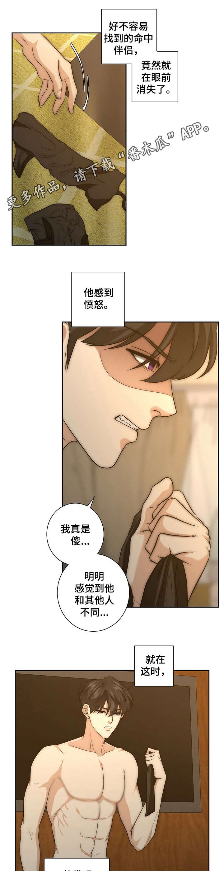 第20章：命中伴侣