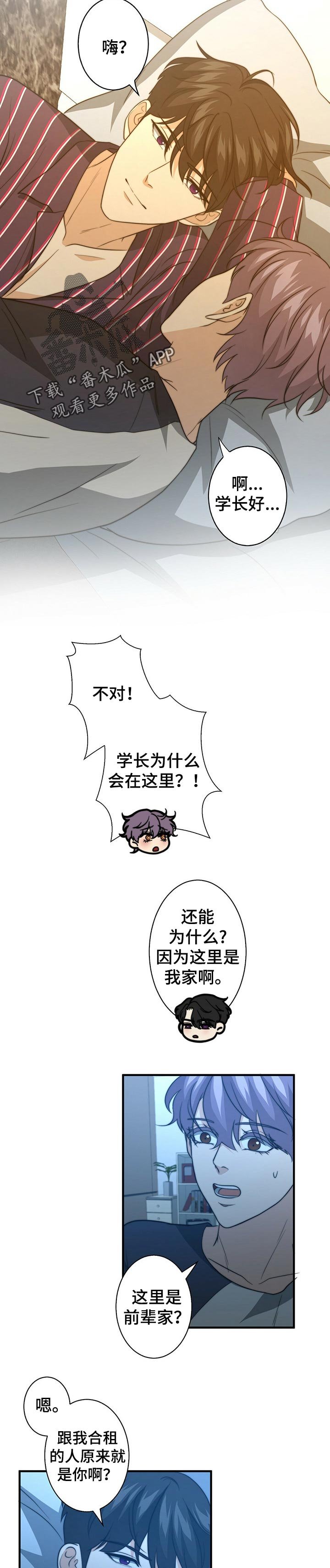 第50章：都是陷阱