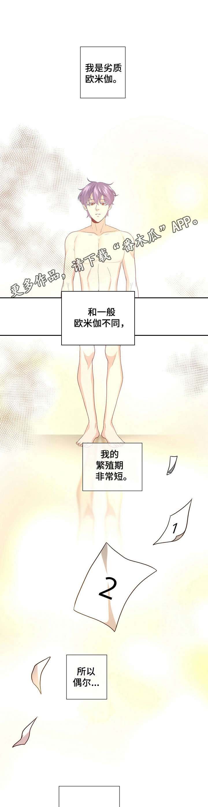 第9章：野兽