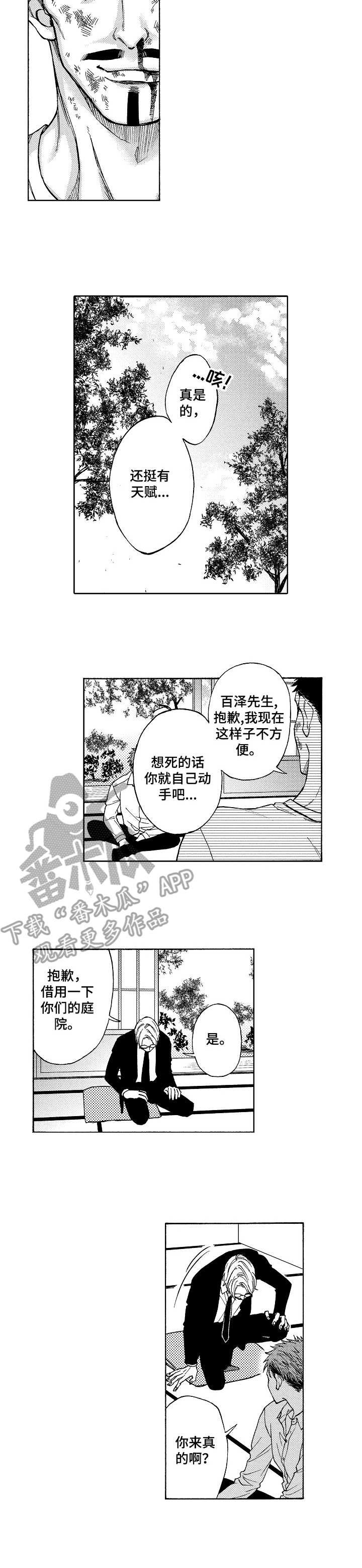 第11章：对策