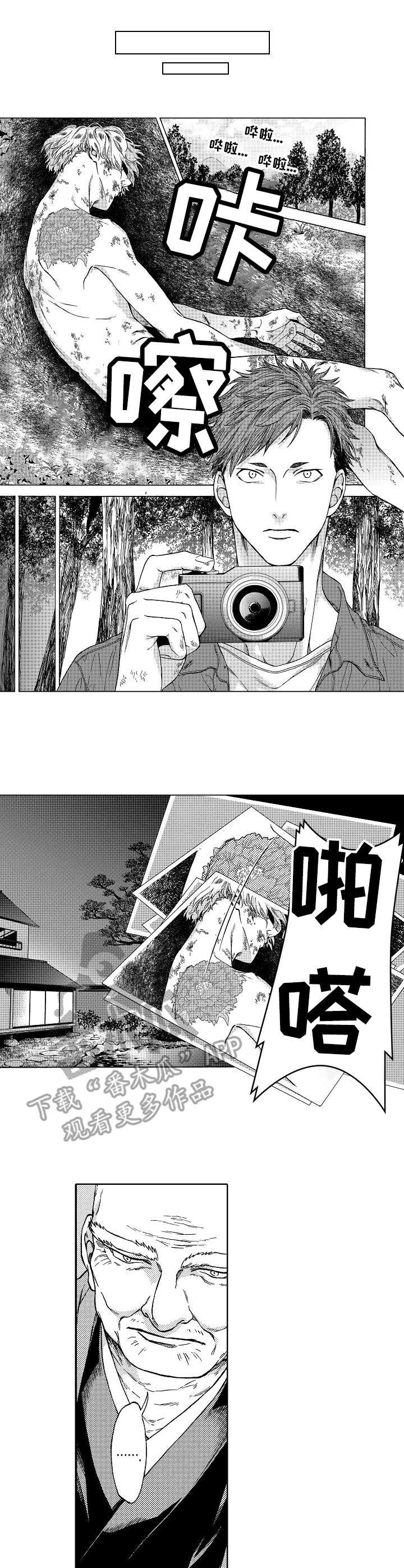 第11章：对策