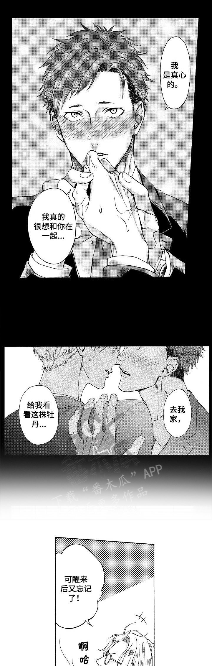 第6章：表达心意